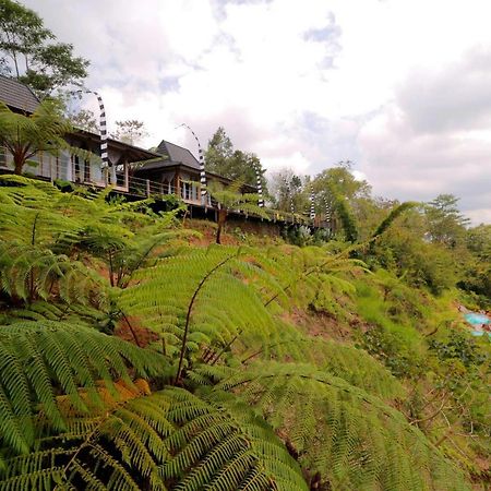 Hotel The Bejalin Eco Retreat Plaga Exterior foto